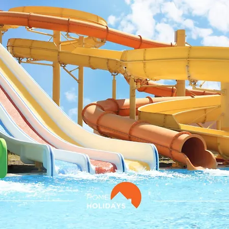 #231 Cavalo B203 By Holidays Quarteira